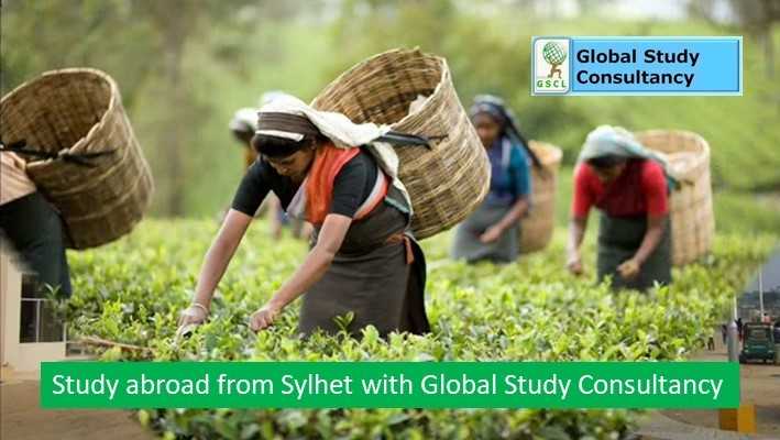 best way to study abroad from Sylhet